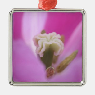 Keukenhof Gardens, Holland, specialises in 3 Metal Tree Decoration