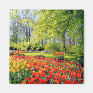 KEUKENHOF GARDENS, LISSE HOLLAND MAGNET