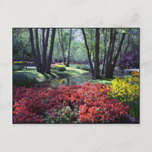 Keukenhof Gardens Netherlands, Postcard Template
