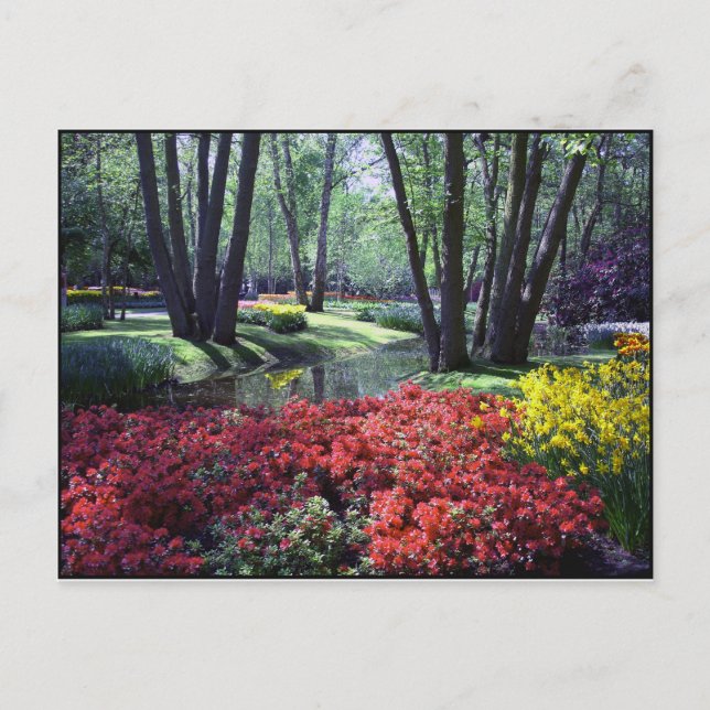 Keukenhof Gardens Netherlands, Postcard Template (Front)
