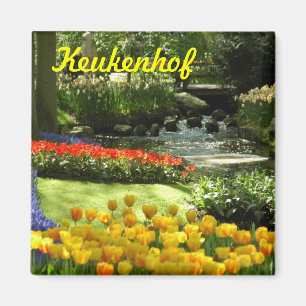 Keukenhof Magnet