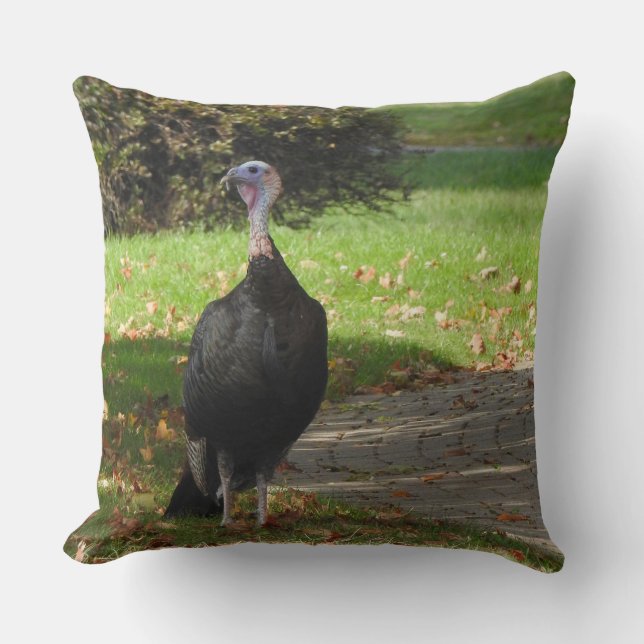Kevin The Turkey - Old Wethersfield , CT Cushion (Front)