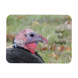 Kevin The Turkey - Old Wethersfield , CT Magnet