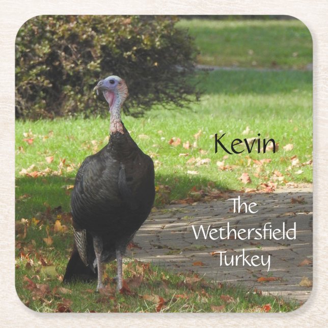 Kevin The Turkey - Old Wethersfield , CT Square Paper Coaster (Front)