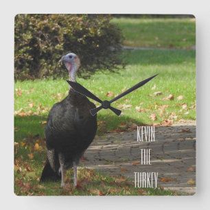 Kevin The Turkey - Old Wethersfield , CT Square Wall Clock