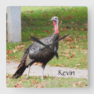 Kevin The Turkey - Old Wethersfield , CT Square Wall Clock