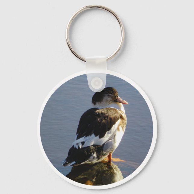 KEY CHAIN-Muscovy Duck Key Ring (Front)