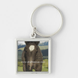 Key chain, UIL Ring
