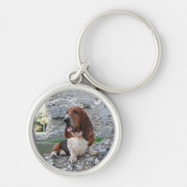 Key Chain With Basset Hound Castle Ruin Visit (Front)