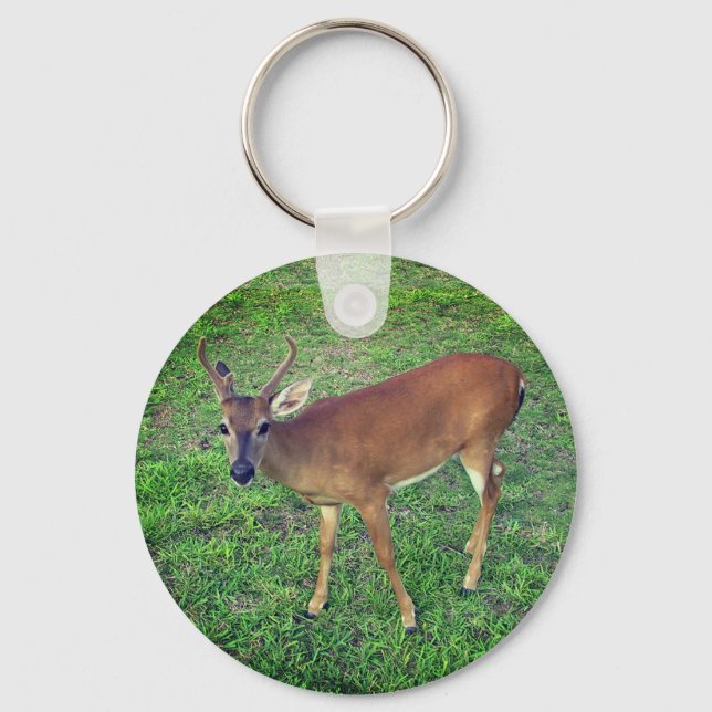 Key Deer Key Ring (Front)