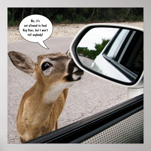 Key Deer speaking Poster (Front)