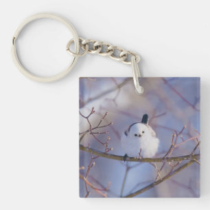 KEY HOLDER OF ZEBRA TREE RING