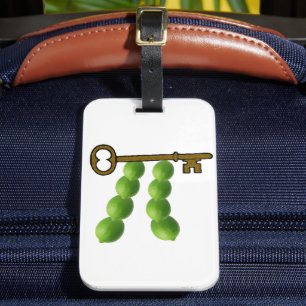 Key Lime Pi Luggage Tag