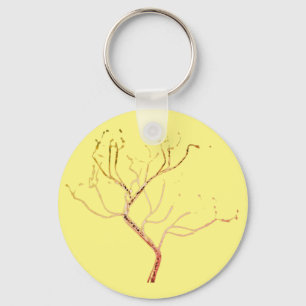key ring