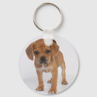 KEY RING