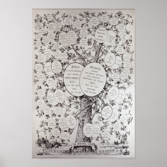 Key to Genealogical Tree Poster (Front)