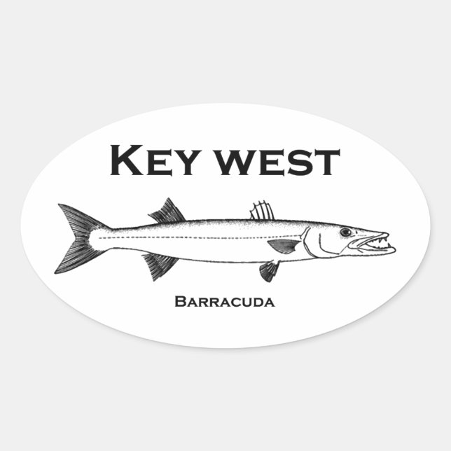 Key West Barracuda Oval Sticker (Front)