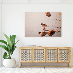 Key West Florida Bird at Sunset Canvas Print