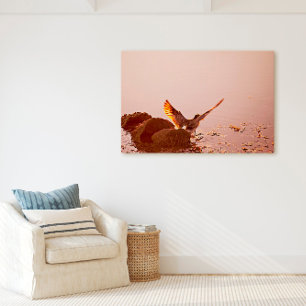 Key West Florida Bird With Stretched Wings Canvas Print