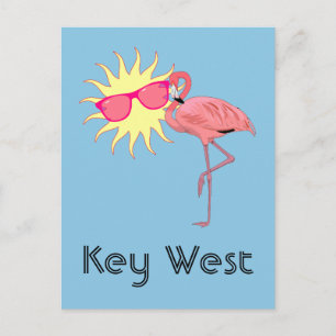 Key West Florida Pink Flamingo Humour Postcard