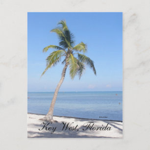 Key West, Florida Postcard