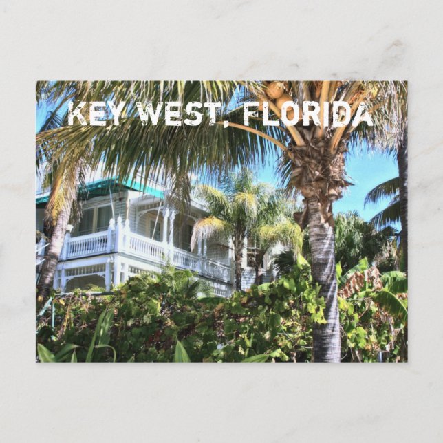 Key West Florida Sunny Tropical Postcard (Front)