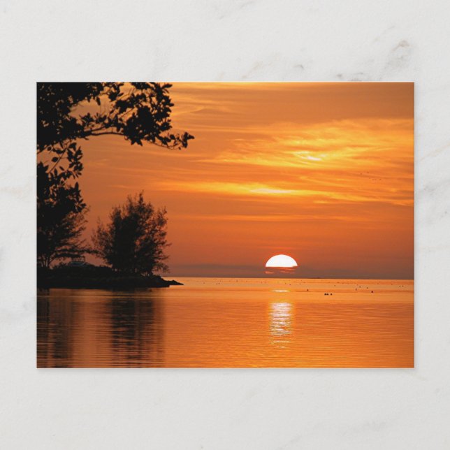 Key West, Florida sunset, beautiful photograph Postcard (Front)