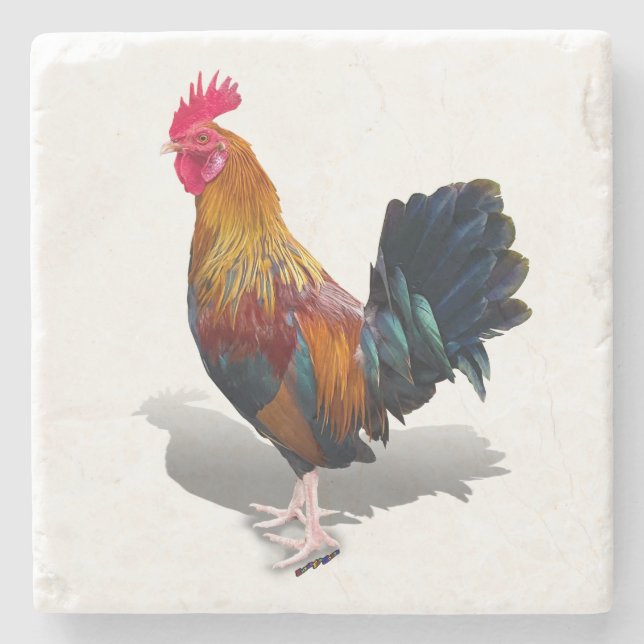Key West - Gypsy Rooster Stone Coaster (Front)