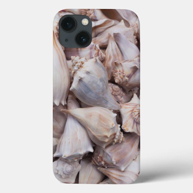 Key West, seashells Case-Mate iPhone Case (Back)