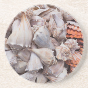 Key West, seashells Coaster