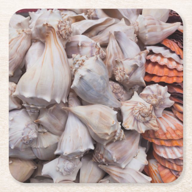 Key West, seashells Square Paper Coaster (Front)
