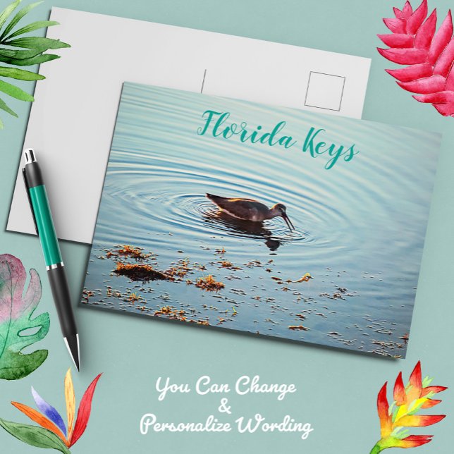 Key West Shorebird Ocean Scene Florida Keys Postcard (Creator Uploaded)
