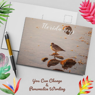 Key West Shorebird Reflection Florida Keys Postcard