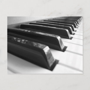Keyboard - Black And White Postcard