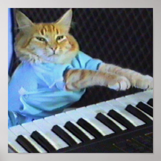Keyboard Cat Canvas Print! Poster (Front)