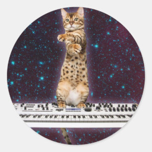 Keyboard cat strikes again classic round sticker