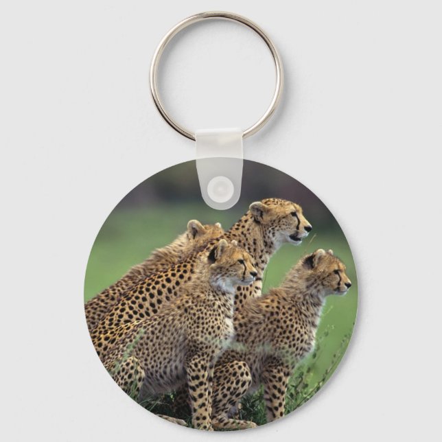 Keychain-Cheetah's Key Ring (Front)