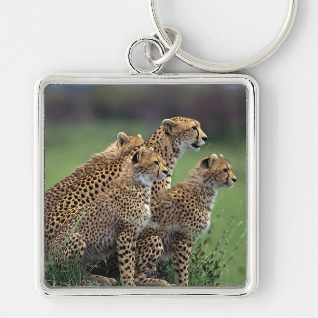 Keychain-Cheetah's Keychain (Front)