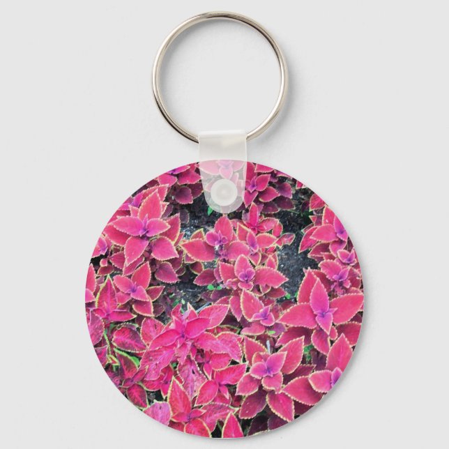 Keychain Coleus Plants Pink (Front)