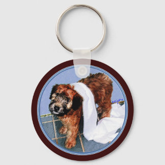 Keychain: "It Wasn't Me!" Key Ring