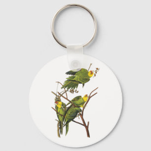 Keychain: Parakeet - by John Audubon Key Ring