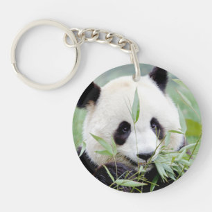 keychain photo giant panda 0061.