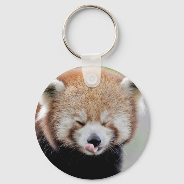 Keychain photo red panda. Panda roux. (Front)