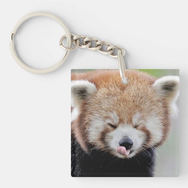 keychain photography red panda. (Front)