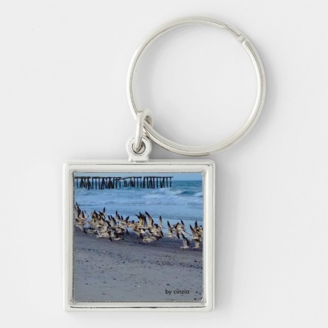 Keychain with picture of birds, black skimmers (Front)