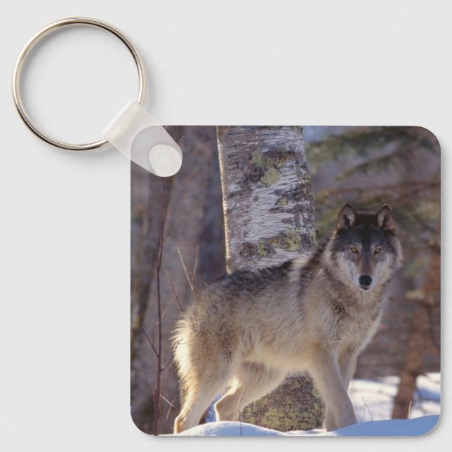 Keychain-Wolf Keychain (Front)