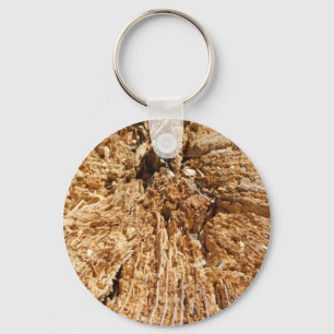keyring