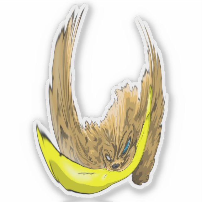 Keys & Banana, the Miniature cocker spaniel 4 (Front)