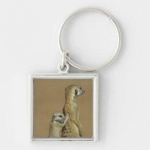 Kgalagadi National Park, Botswana, Africa Key Ring