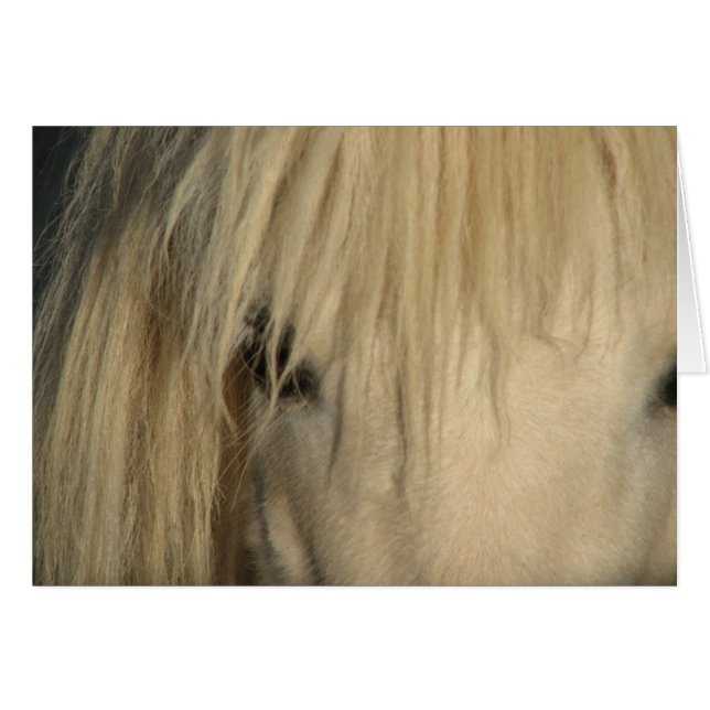 Khalif (Front Horizontal)